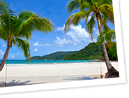 Tropici