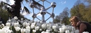 Viaggi e Vacanze a Bruxelles