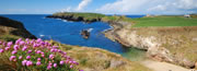 Viaggi e Vacanze a Cork