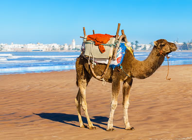 Marrakech