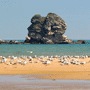 Coste Italiane Gargano