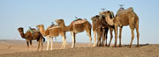 Viaggi e Vacanze a Marocco