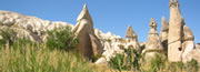 Specialisti in Pacchetti Vacanze Citt�