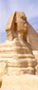 Sharm El Sheikh con trasferimenti