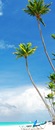 Riviera Maya e Cancun