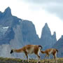 PUERTO NATALES, CHILE