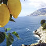 Sorrento