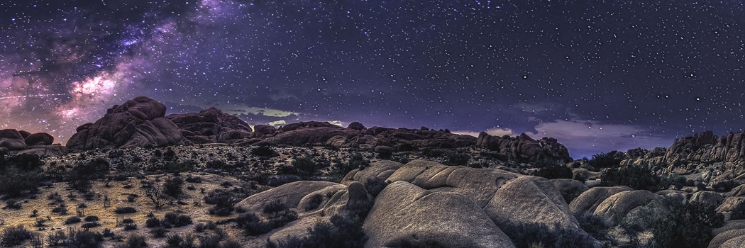 Joshua Tree
