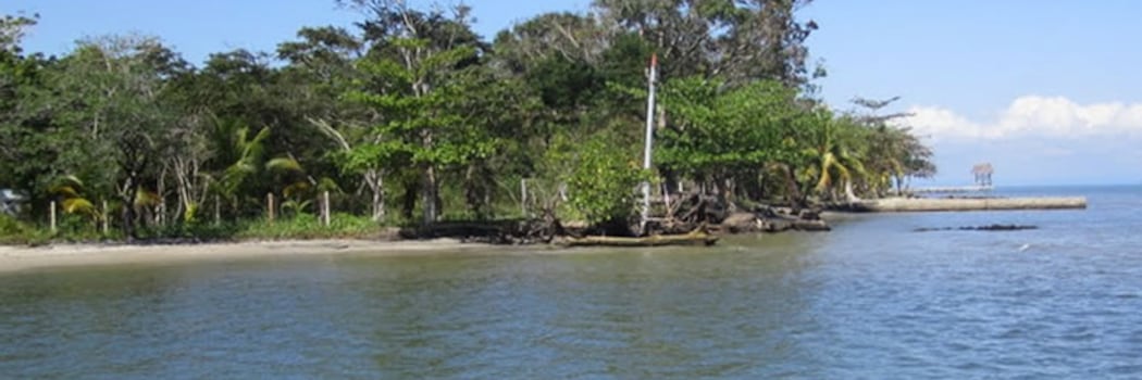 Livingston