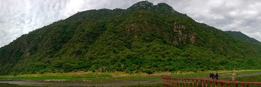 Parco nazionale del lago Manyara