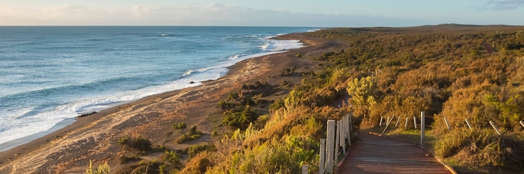 Peninsula Valdes - Di Chubut