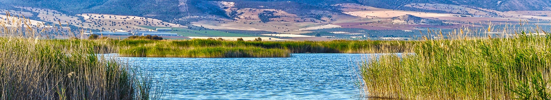 Offerte Volo+Hotel a **Daimiel**