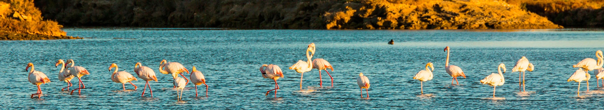 La tua vacanza **Parc Natural del Delta de l'Ebre** inizia qui
