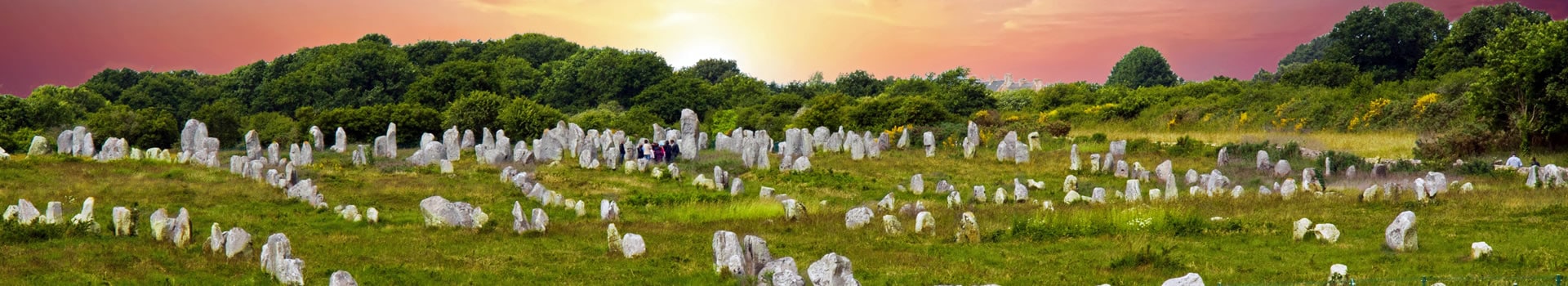 Fly & Drive Carnac Offerta Lampo