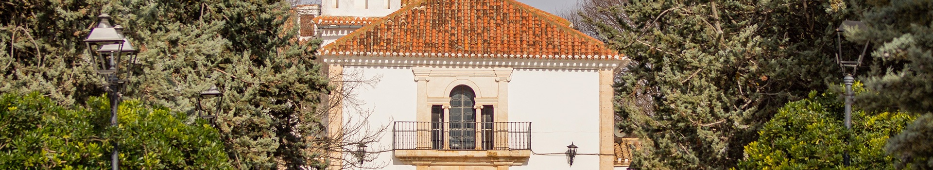 Offerte Volo+Hotel a **Villarrobledo**