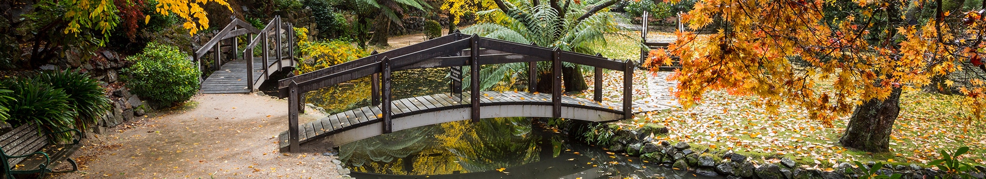 Offerte Volo+Hotel a **Dandenong Victoria**