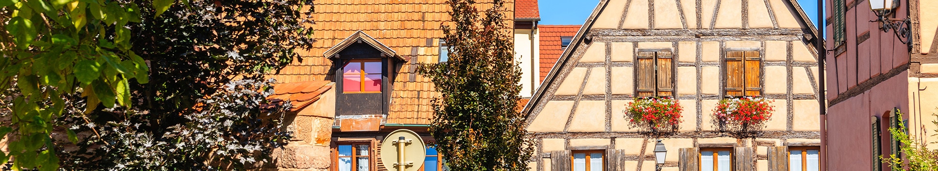 Offerte Volo+Hotel a **Kientzheim**