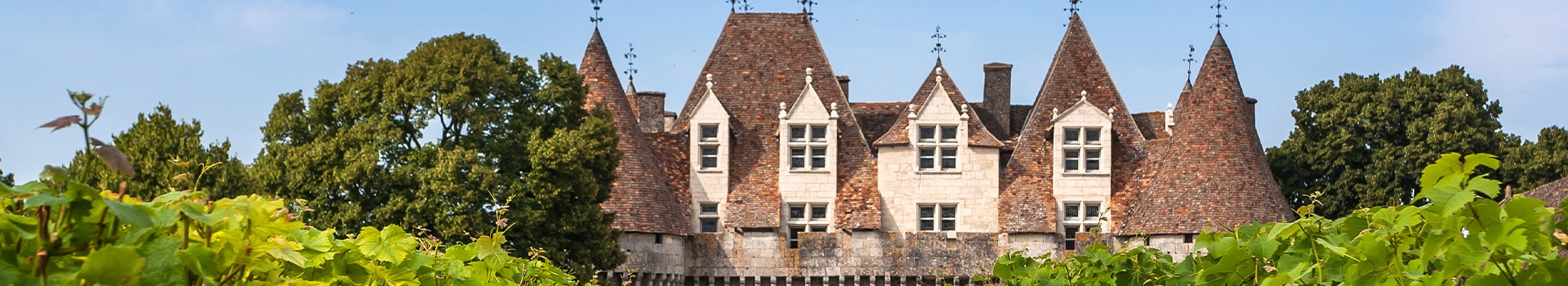 Offerte Volo+Hotel a **Monbazillac**