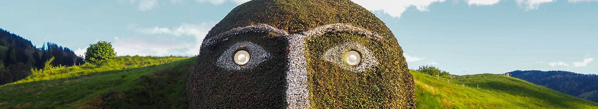 Fly & Drive Wattens