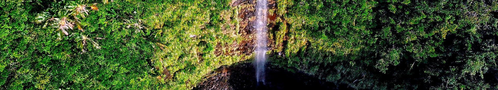 La tua vacanza **Parco nazionale Black River Gorges** inizia qui