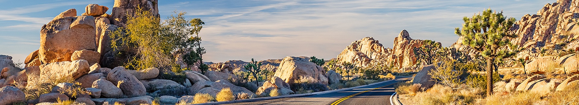 Offerte Volo+Hotel a **Mojave**