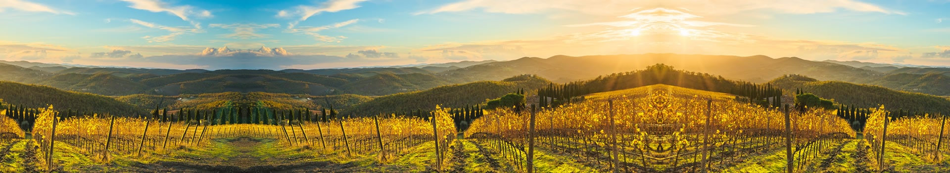 La tua vacanza **Radda in Chianti** inizia qui