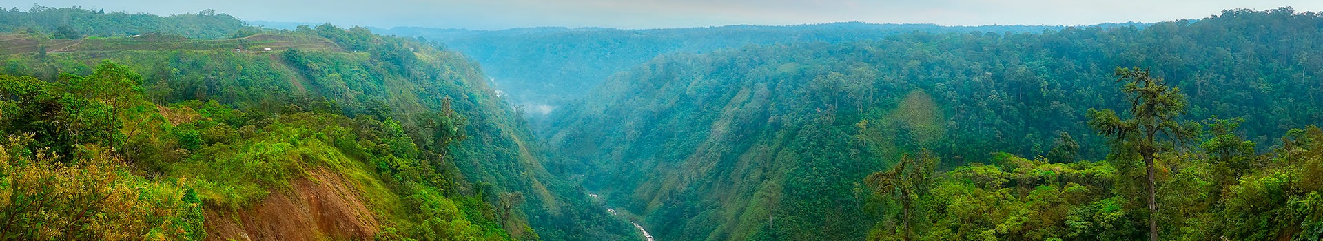 Tour Natura Alajuela Estate