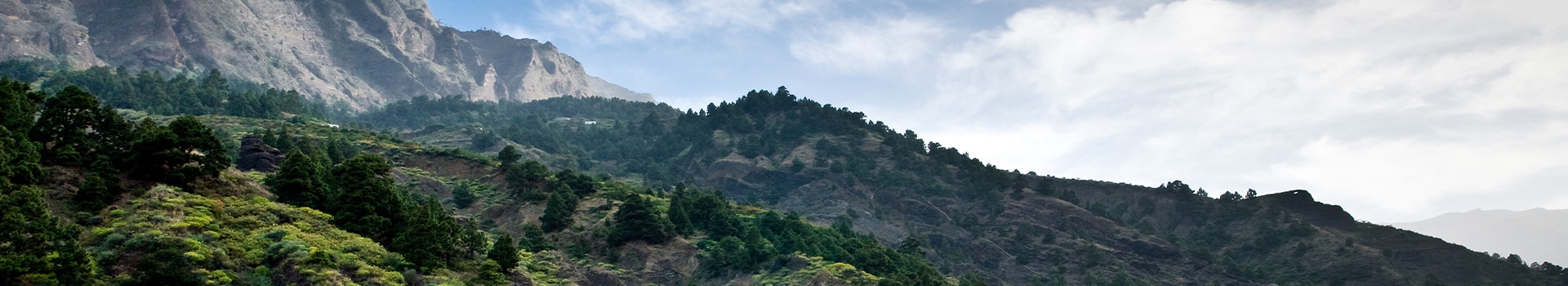 Biglietti da Traghetto e Navi per La Palma Biglietti da Traghetto e Navi per La Palma