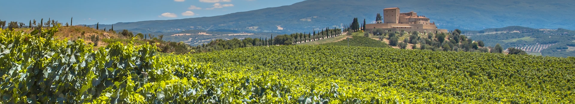 Fly & Drive La Rioja