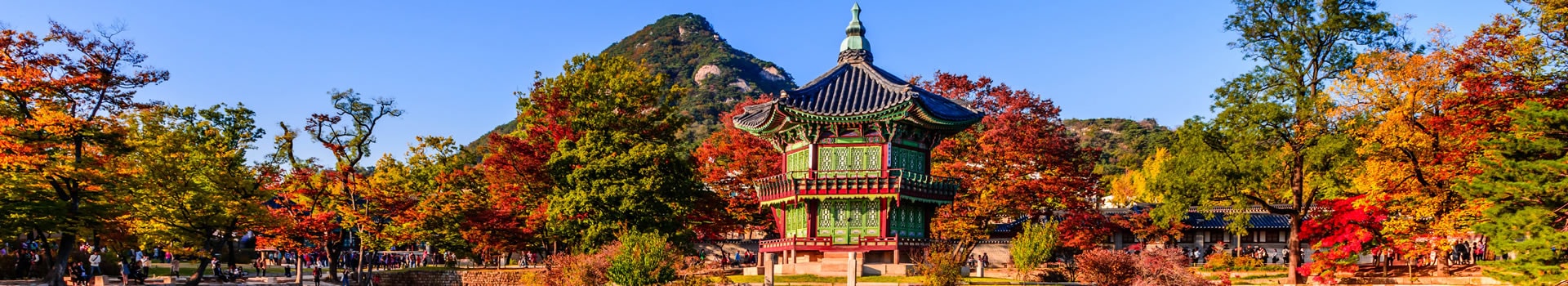 La tua vacanza **Corea del Sud** inizia qui