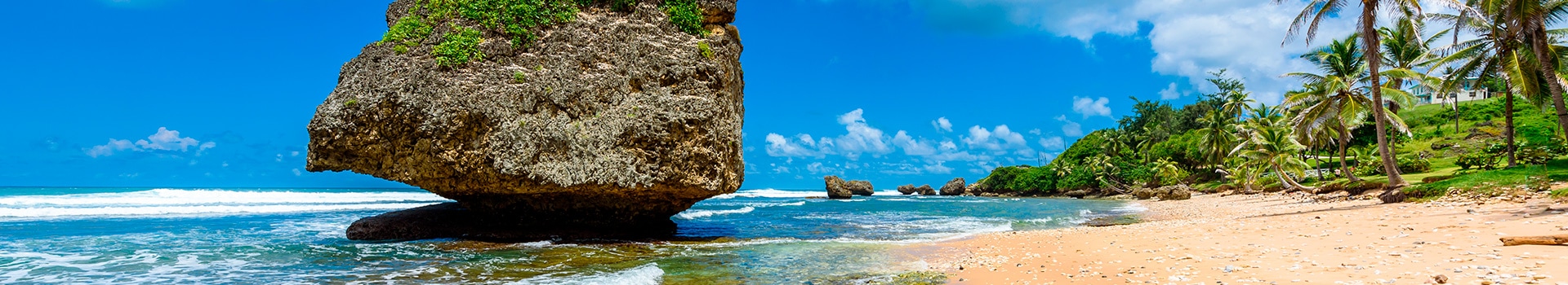 Offerte Volo+Hotel **Barbados**