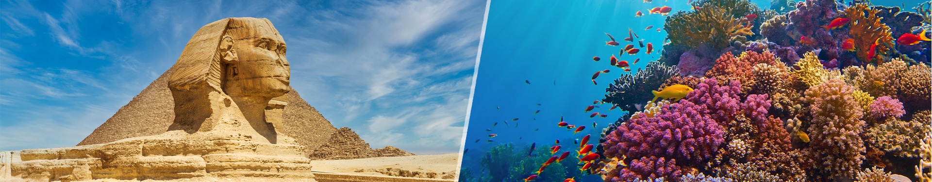 Sharm El Sheikh ed Il Cairo