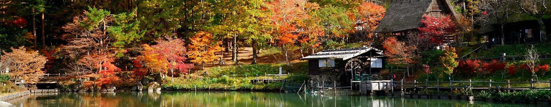 Tokyo, Osaka, Kyoto e Takayama