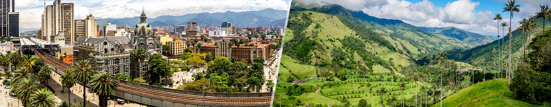 Medellín, Pereira e Asse del Caffè