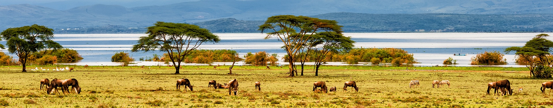 Aberdare, Nakuru, Masai Mara, Naivasha e Mauricio
