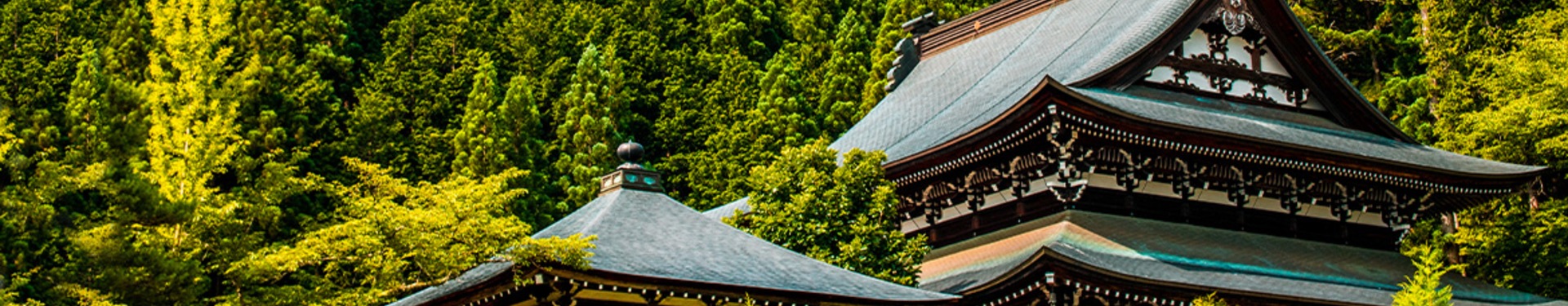 Tokyo, Osaka, Kyoto e Takayama