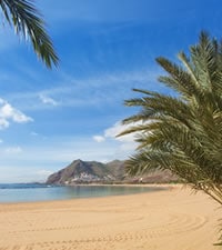 Tutti i motivi per visitare il sud di Tenerife