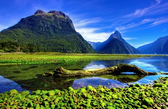 Nuova Zelanda Nuova Zelanda