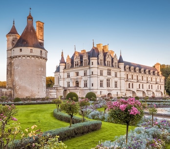 Francia Francia