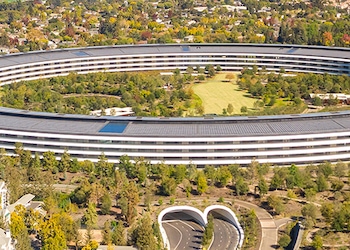 Cupertino