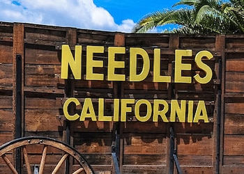 Needles