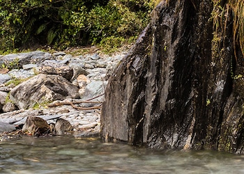 Franz Josef Glacier