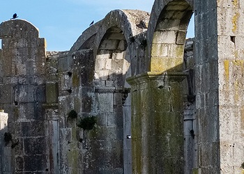 Venosa