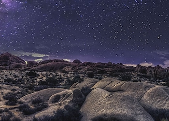Joshua Tree