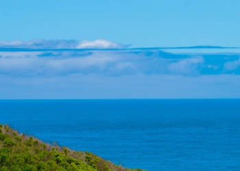 Cape Otway VIC