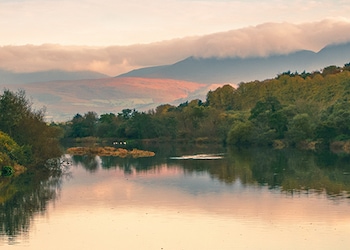 Killorglin