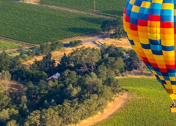 Napa