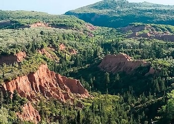 Valona