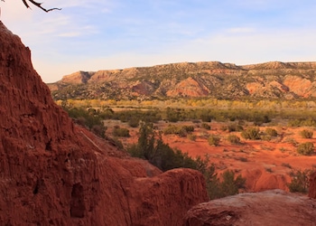 Amarillo