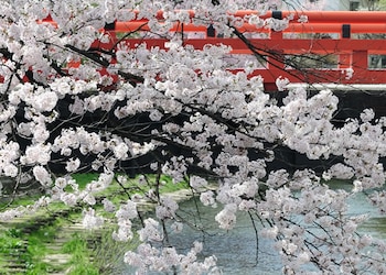 Takayama